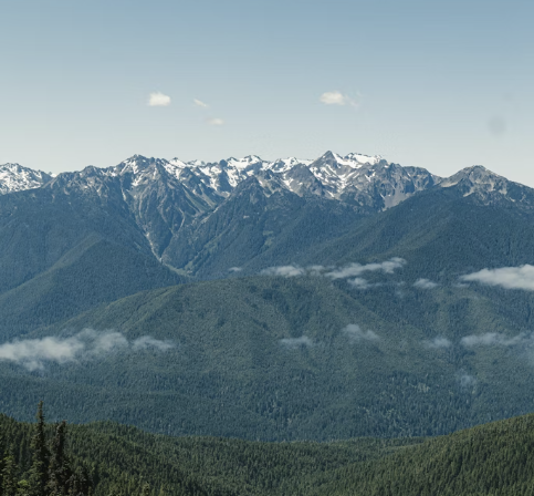 olympic national park